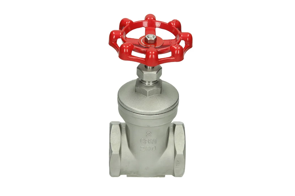 Stainless steel gate valve with BSP GW, type 2029